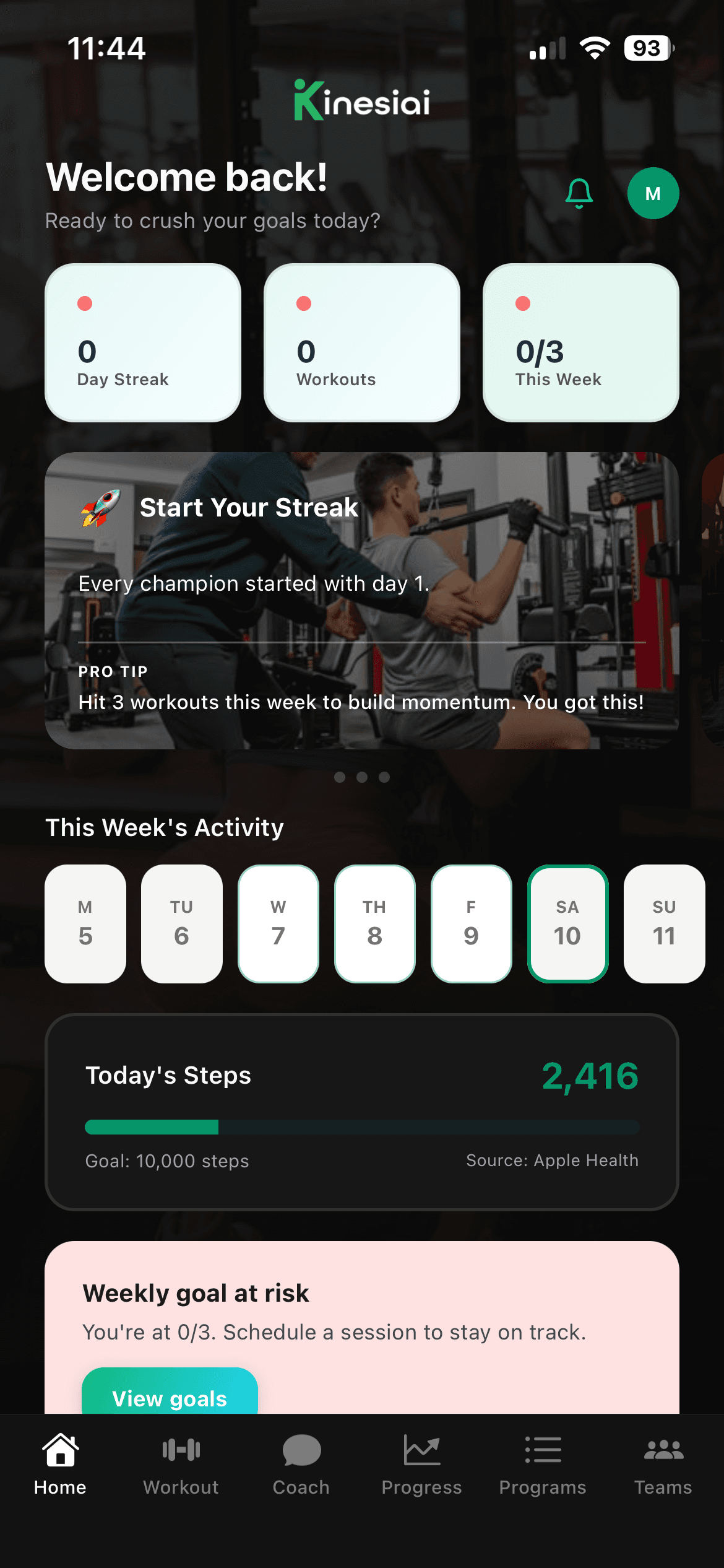 Kinesiai home dashboard